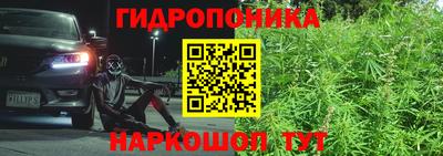 сатива Тула