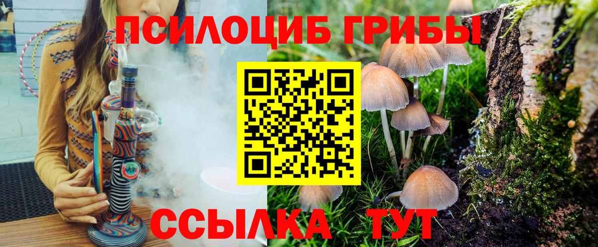 Галлюциногенные грибы мухоморы  Вход с VPN  Соль-Илецк 